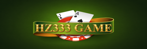 HZ333 GAME